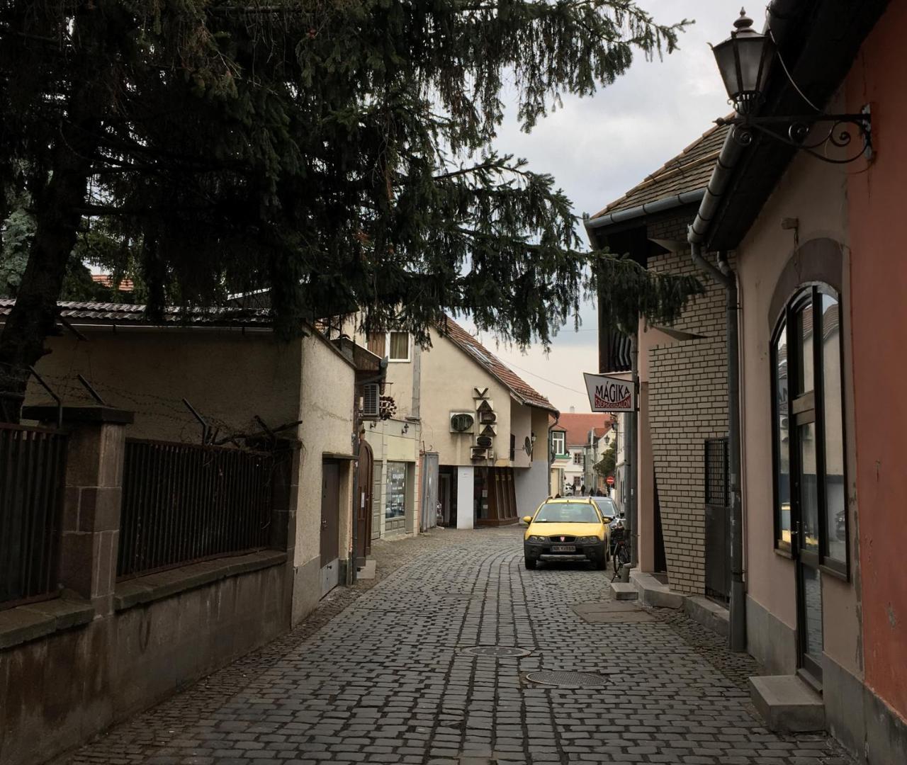 Macskako Apartman Eger Bagian luar foto